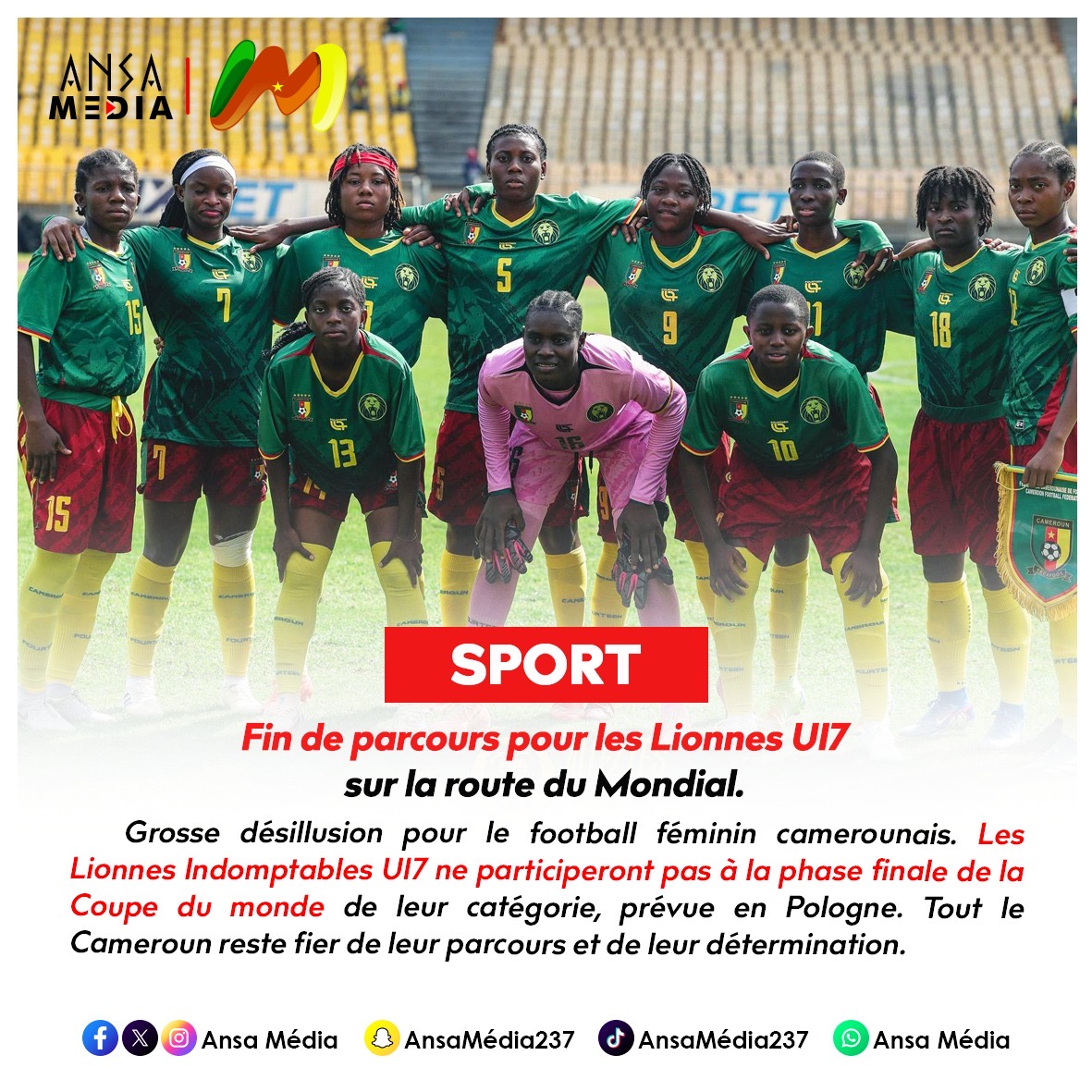 Fin de parcours pour les Lionnes U17 sur la route du Mondial.