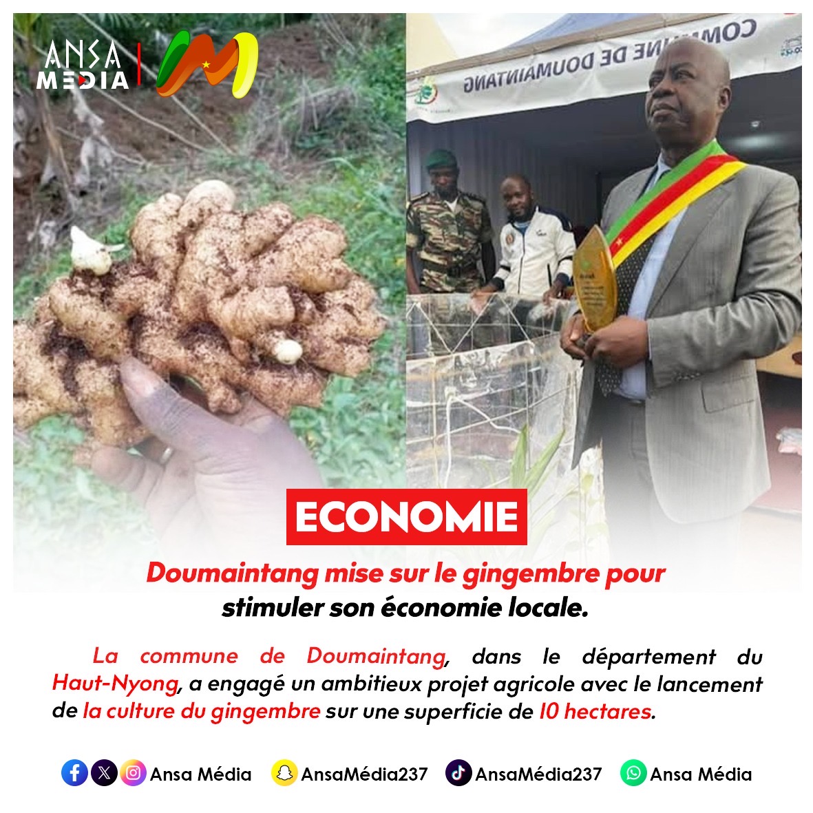 Doumaintang mise sur le gingembre pour stimuler son économie locale.