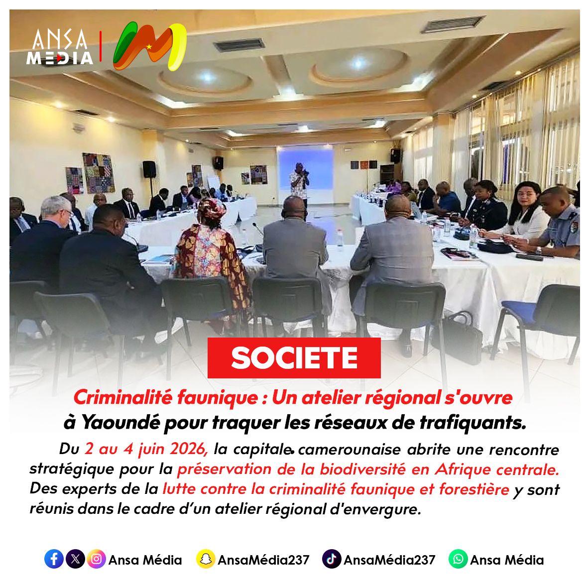 Criminalité faunique : Un atelier régional s'ouvre à Yaoundé pour traquer les réseaux de trafiquants.