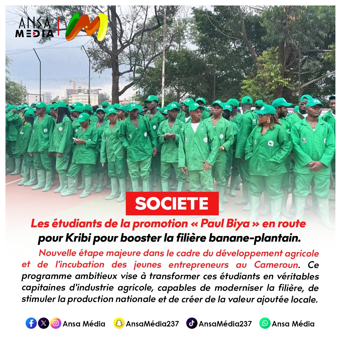 Les étudiants de la promotion « Paul Biya » en route pour Kribi pour booster la filière banane-plantain.