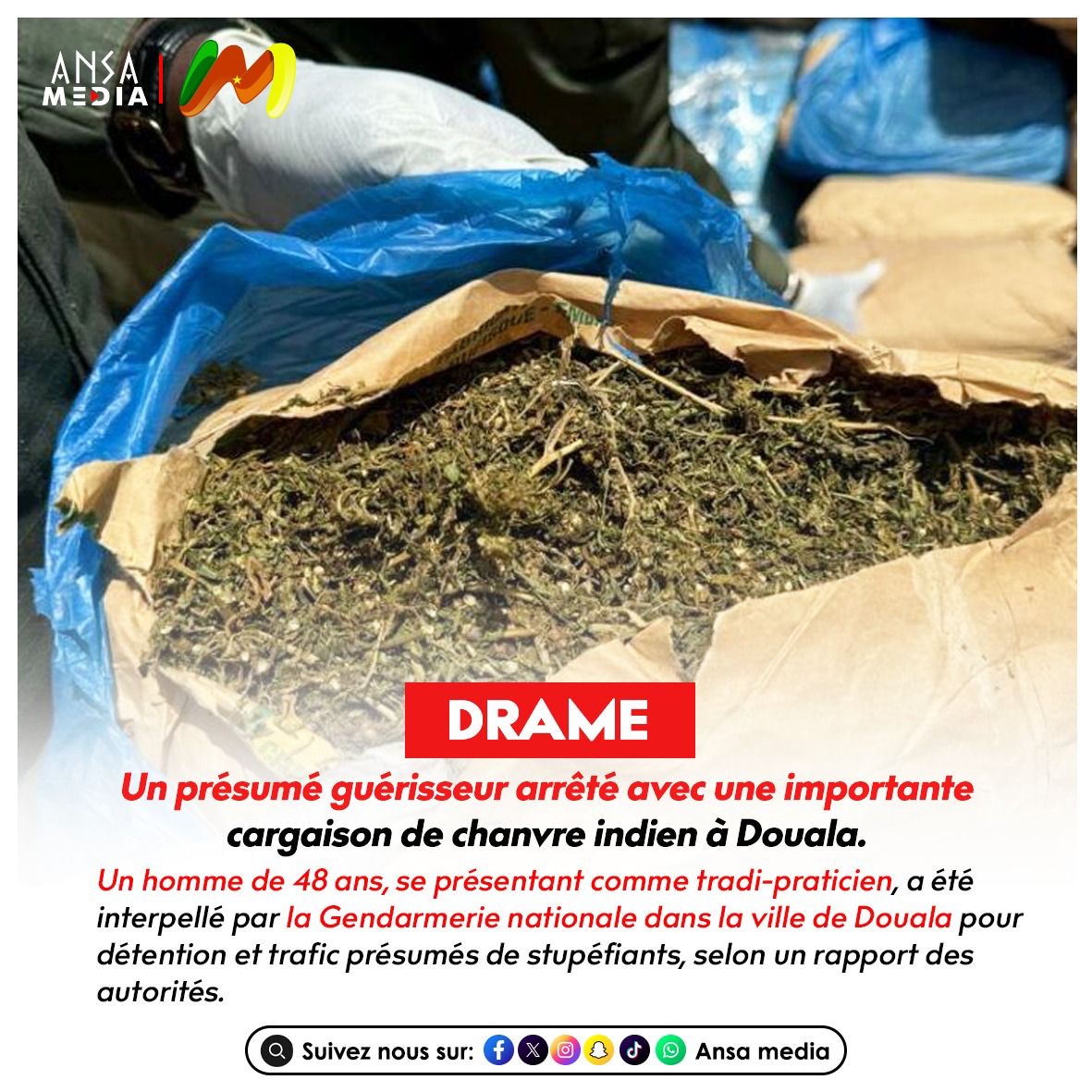 Un présumé guérisseur arrêté avec une importante cargaison de chanvre indien à Douala.