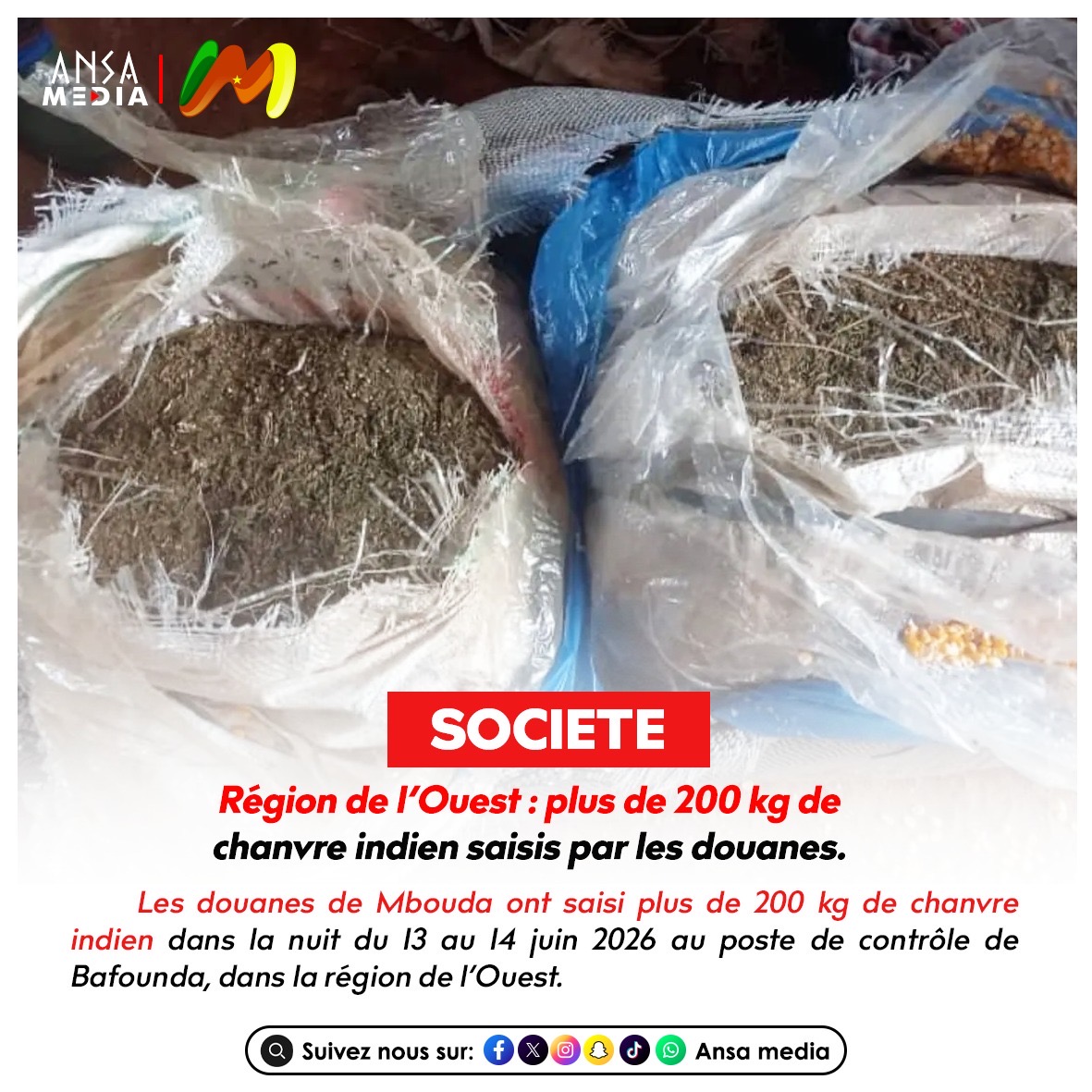 Région de l’Ouest : plus de 200 kg de chanvre indien saisis par les douanes.