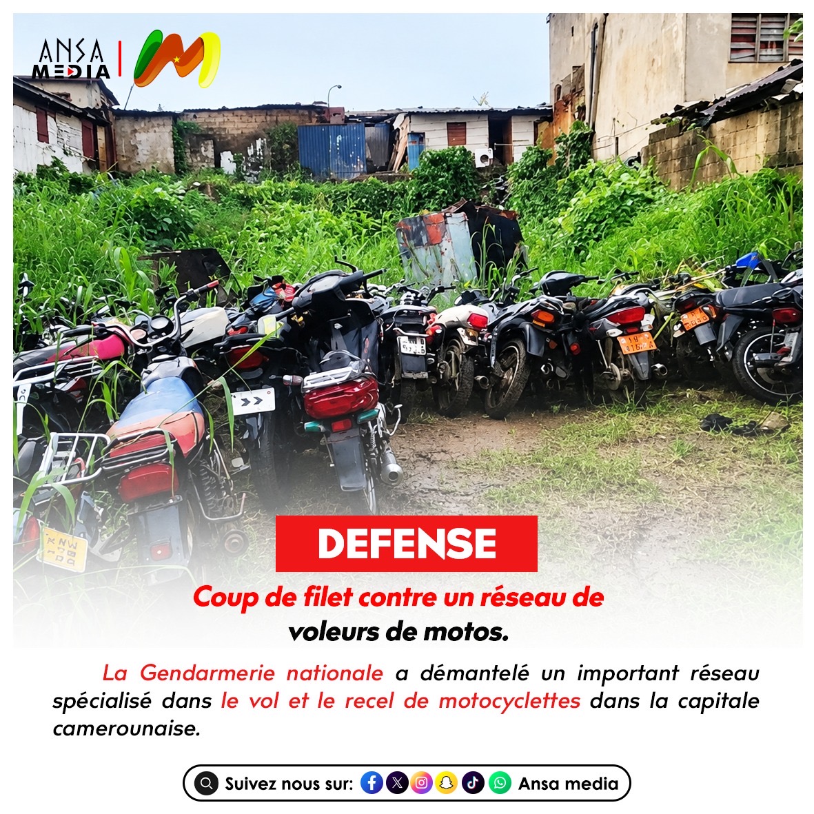 Coup de filet contre un réseau de voleurs de motos.