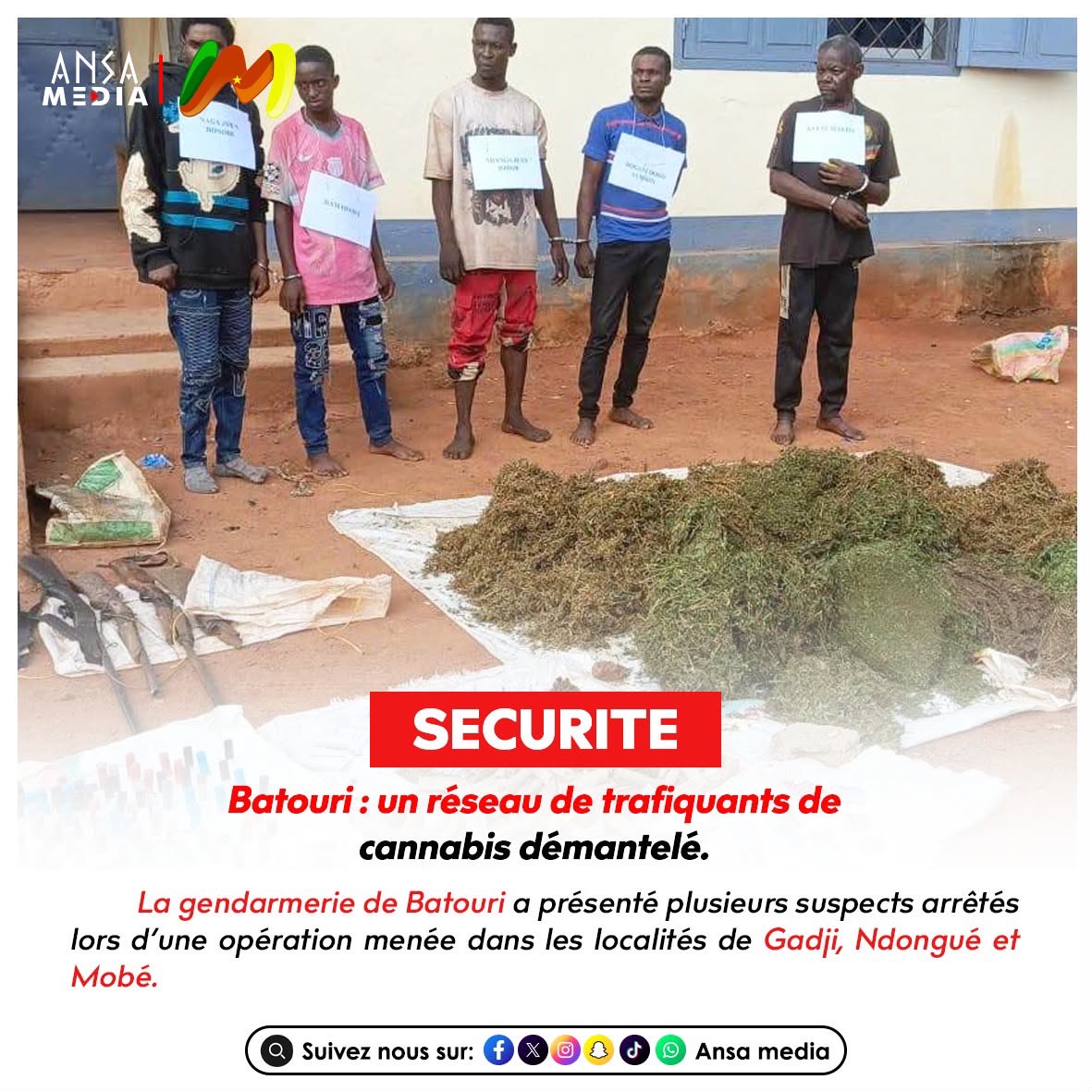 Batouri : un réseau de trafiquants de cannabis démantelé.