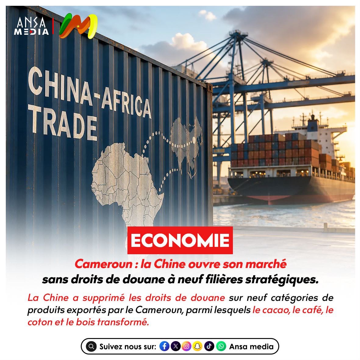 Cameroun : la Chine ouvre son marché sans droits de douane à neuf filières stratégiques.