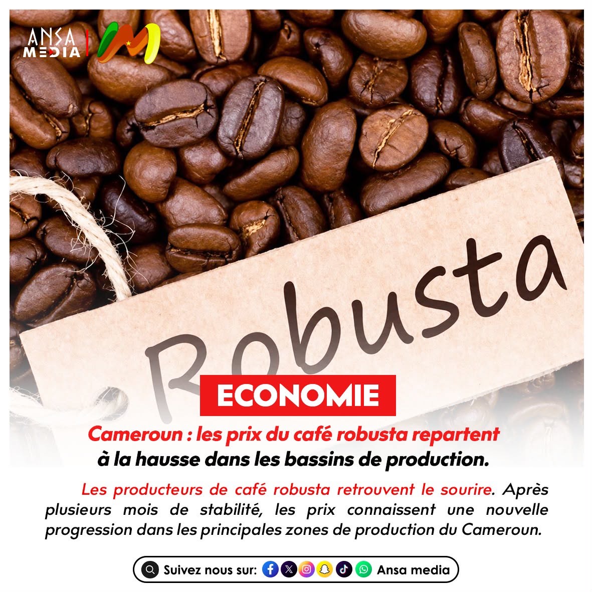 Cameroun : les prix du café robusta repartent à la hausse dans les bassins de production.