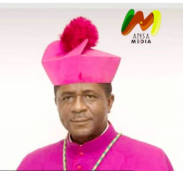Mgr Andrew Nkea Fuanya nommé au Dicastère pour l’évangélisation par le pape Léon XIV.
