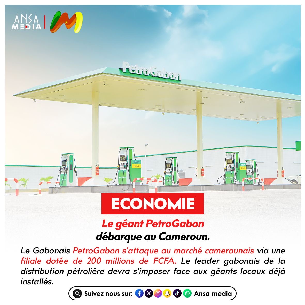 Économie : Le géant PetroGabon débarque au Cameroun.