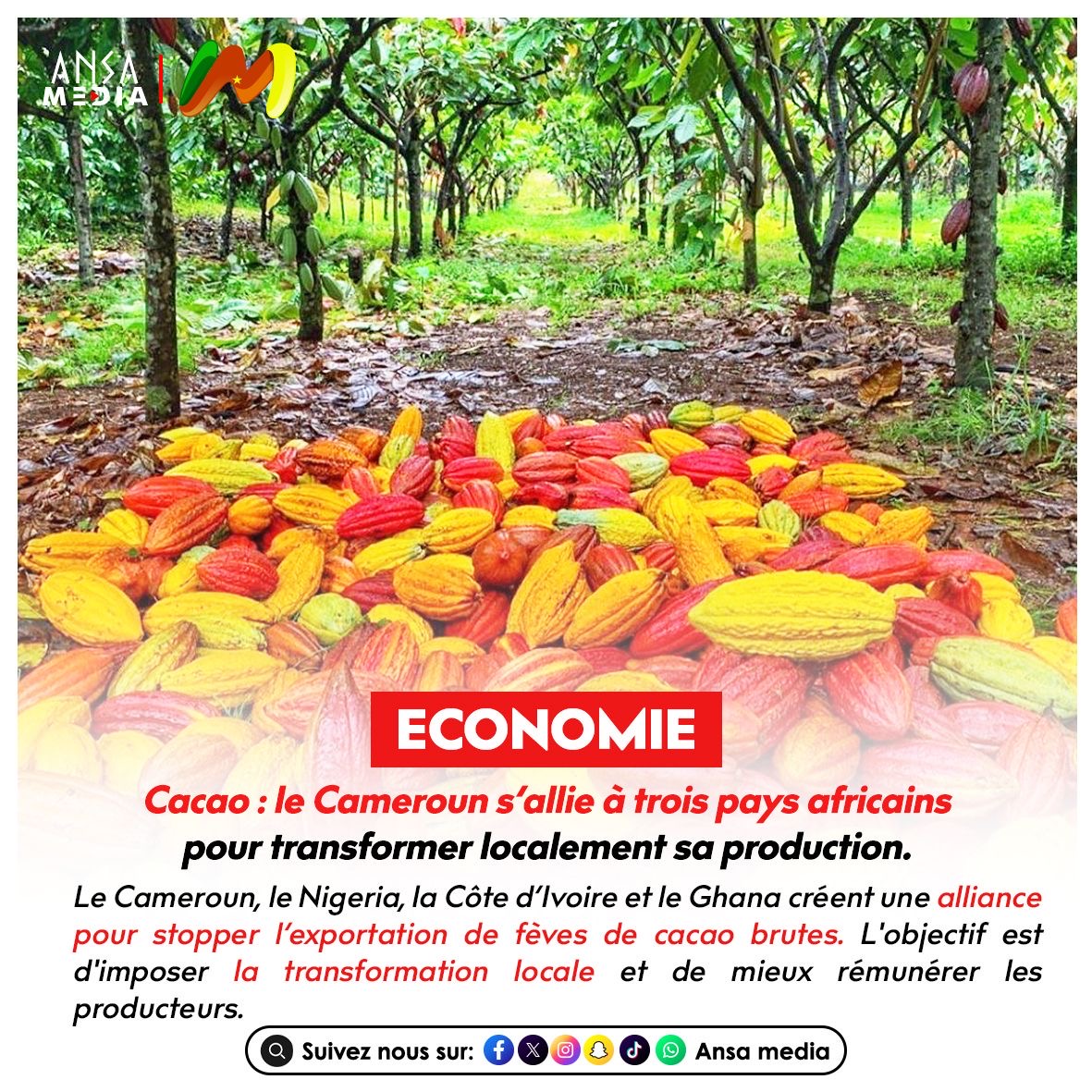Cacao : le Cameroun s’allie à trois pays africains pour transformer localement sa production.