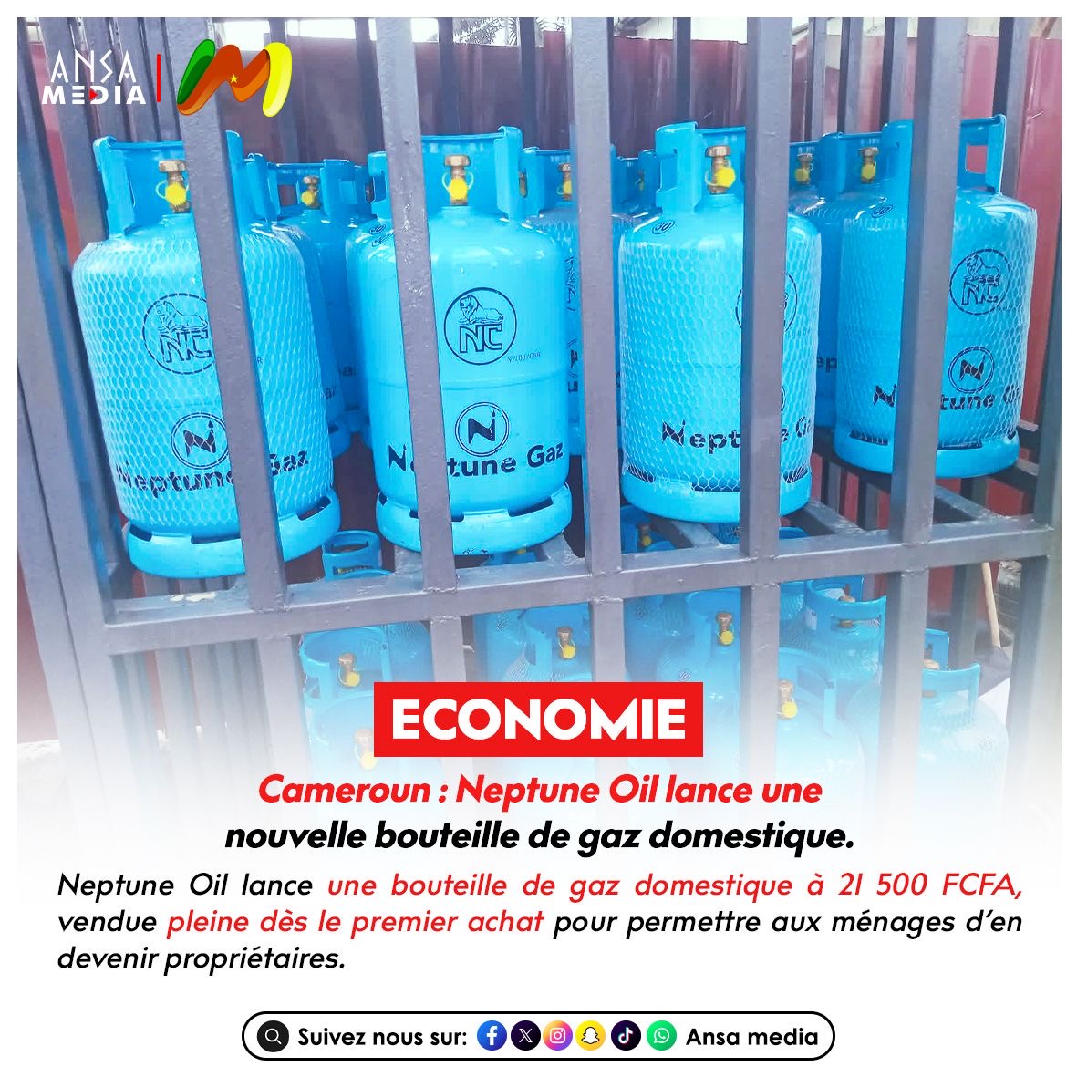Cameroun : Neptune Oil lance une nouvelle bouteille de gaz domestique.