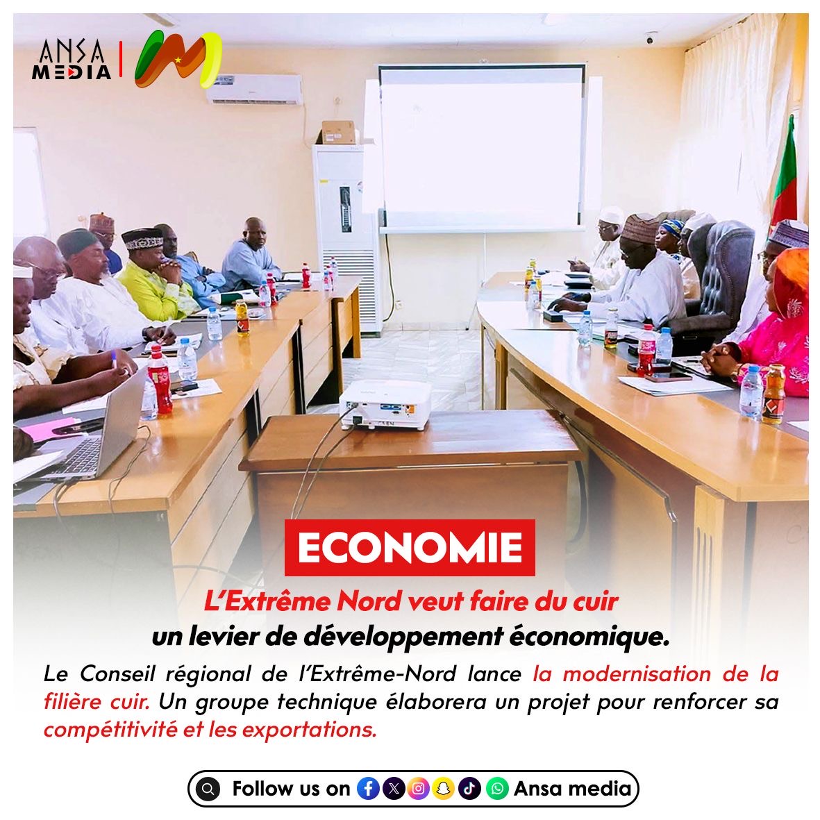 Economie : L’Extrême Nord veut faire du cuir un levier de développement économique.
